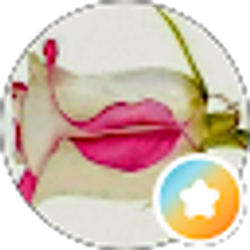 Profile photo of laura henderson