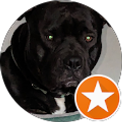 Profile photo of casey hord