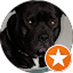 Profile photo of casey hord