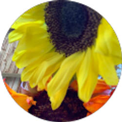 Profile photo of Katrina Foster