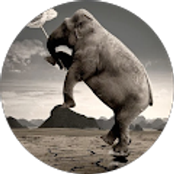 Profile photo of Paul Sweet