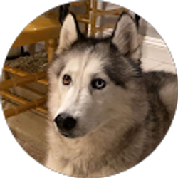 Profile photo of Eugene Telelyuev