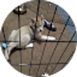 Profile photo of Amy Klinger