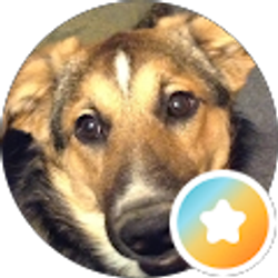 Profile photo of Diane Shafer