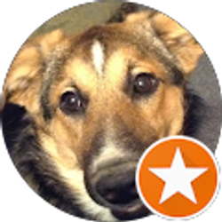 Profile photo of Diane Shafer