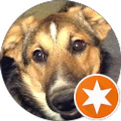 Profile photo of Diane Shafer