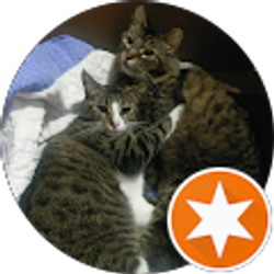 Profile photo of Zatarazie