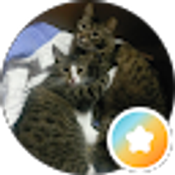 Profile photo of Zatarazie