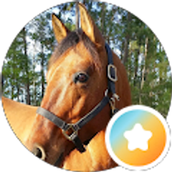 Profile photo of yvette winsor