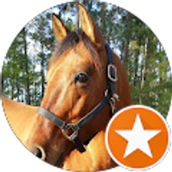 Profile photo of yvette winsor