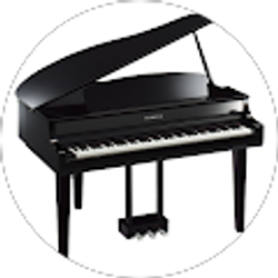 Profile photo of Sue