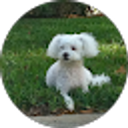 Profile photo of Brianna Discordia