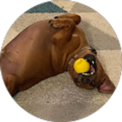 Profile photo of Tricia Hemphill