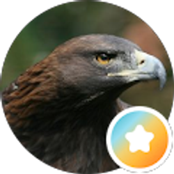 Profile photo of R G