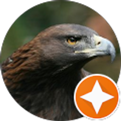 Profile photo of R G