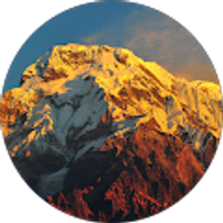 Profile photo of Timothy Lee