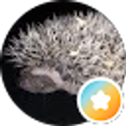 Profile photo of James Oneil