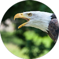 Profile photo of William Cancel