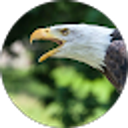 Profile photo of William Cancel