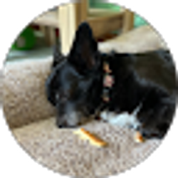 Profile photo of Dave Dempsey