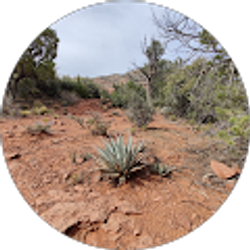 Profile photo of Hector Llamas