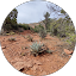 Profile photo of Hector Llamas