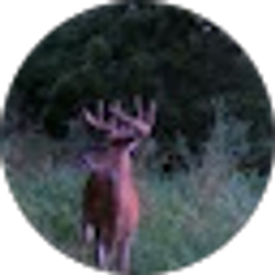 Profile photo of Cole McMahon