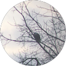Profile photo of Lyle Jacobsen