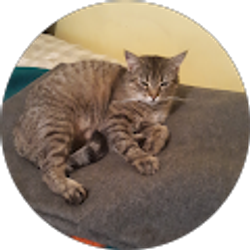 Profile photo of Clark H