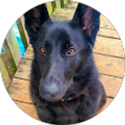 Profile photo of Lynn Deso