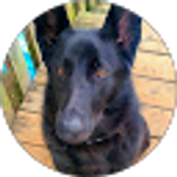 Profile photo of Lynn Deso