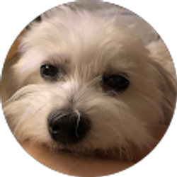 Profile photo of emma pacsuta