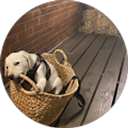 Profile photo of Daniel W