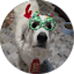 Profile photo of Becky Jolly