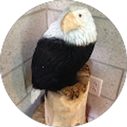 Profile photo of Susan Acosta