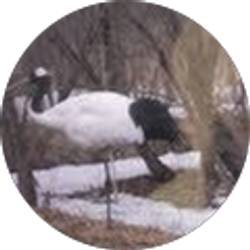 Profile photo of Ed Furlong