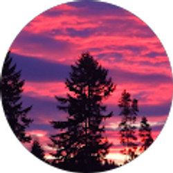 Profile photo of Kelly Gilbert