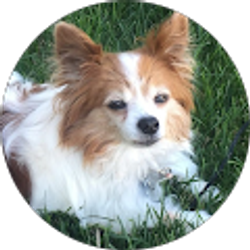 Profile photo of Brian Milovich