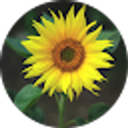 Profile photo of Vicki