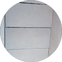 Profile photo of Cesar Montes de Oca