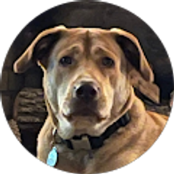Profile photo of Phil Champion