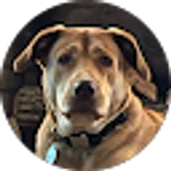 Profile photo of Phil Champion
