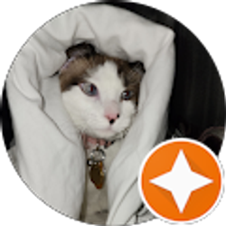 Profile photo of Angel Gonzaga