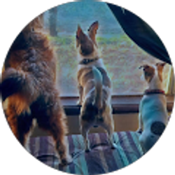 Profile photo of Steve Garza