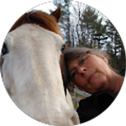 Profile photo of Judith Forsyth