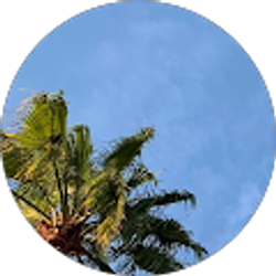 Profile photo of Angelina Hermosilla Roman