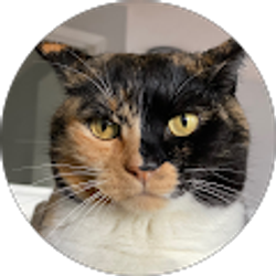 Profile photo of Courtneyzki