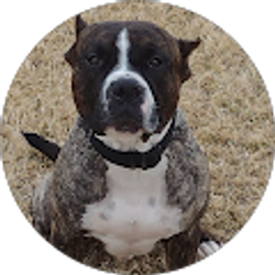 Profile photo of Antonio Banks