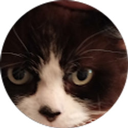 Profile photo of keri digby