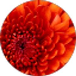 Profile photo of Mackenzie